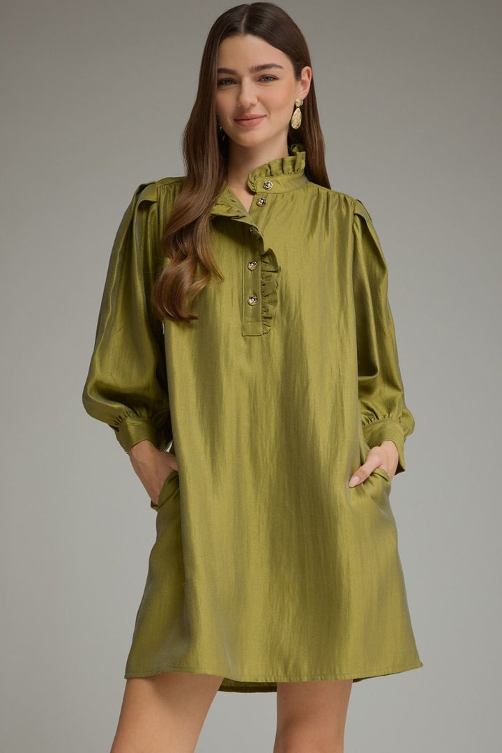 Long Sleeve Dress in Olive