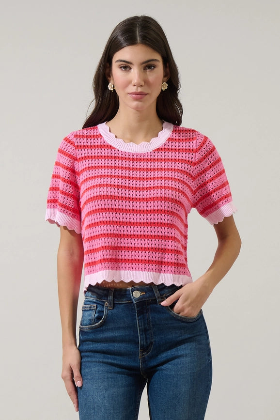 Clarie Stripe Crochet Sweater Top in Pink