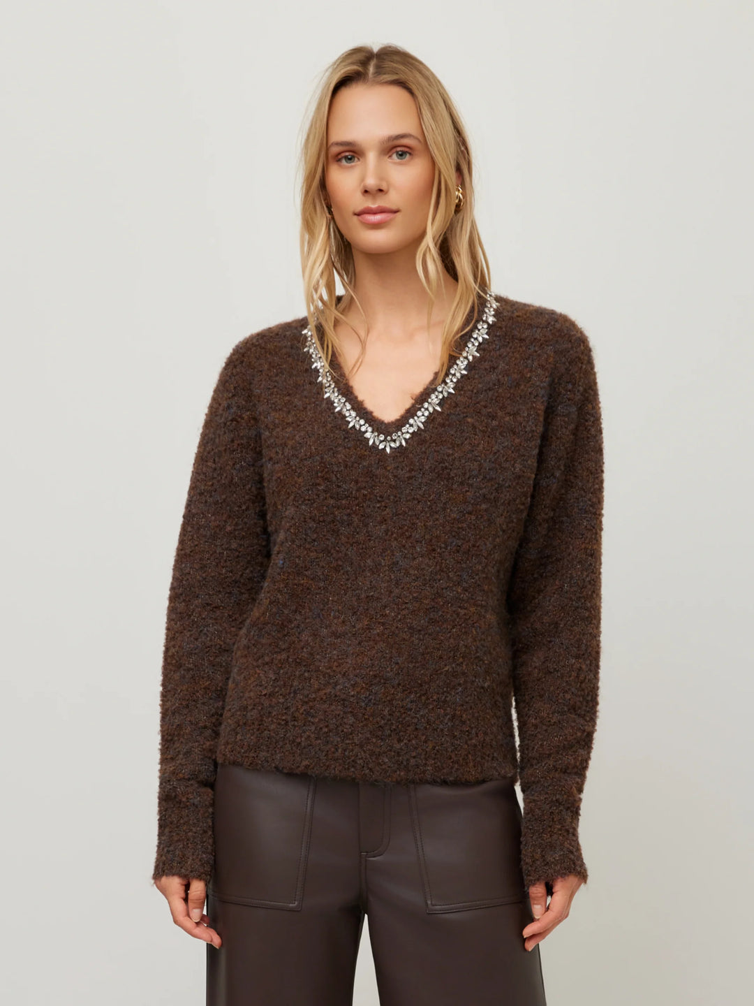 Ash Embellished V-Neck Sweater in Brown
