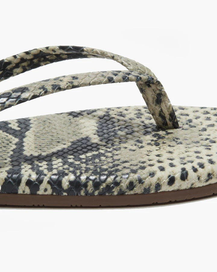 Studio Exotic in Snakeskin