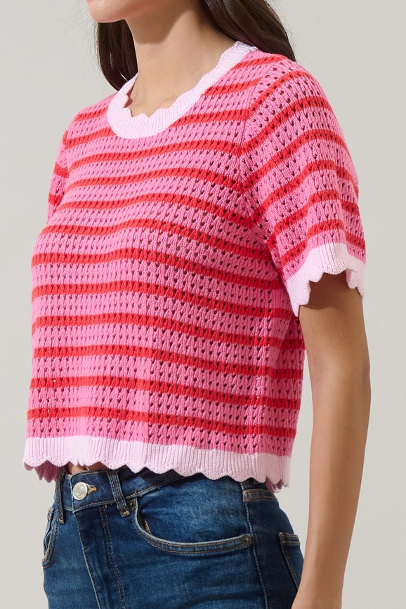 Clarie Stripe Crochet Sweater Top in Pink