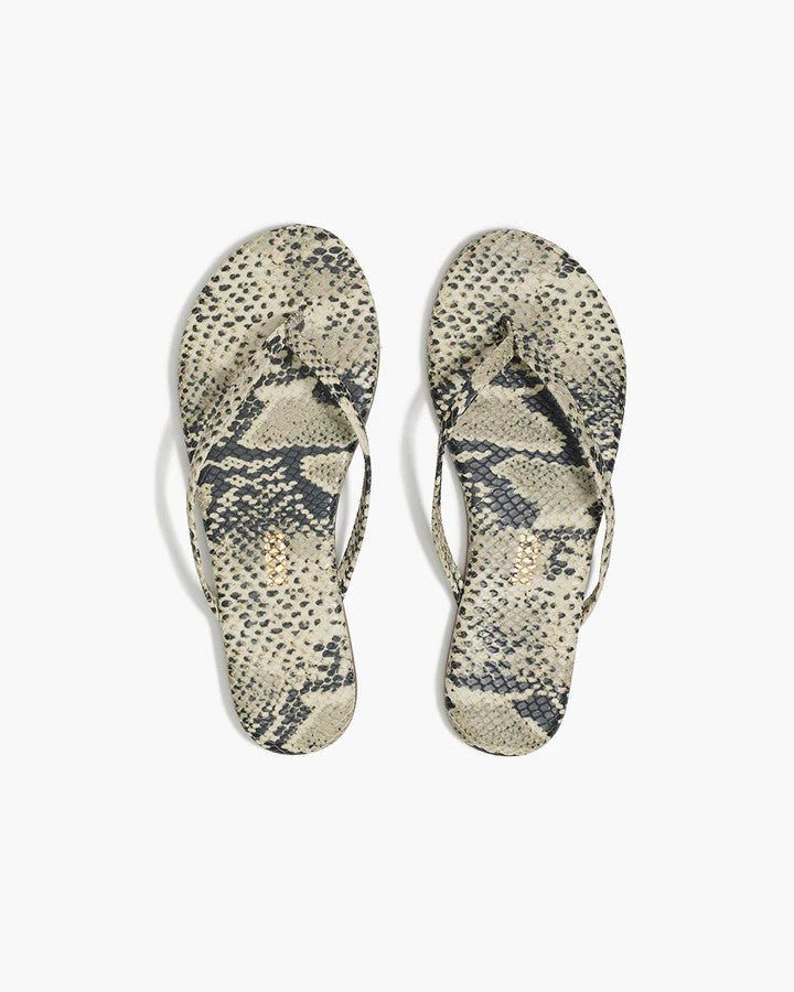 Studio Exotic in Snakeskin