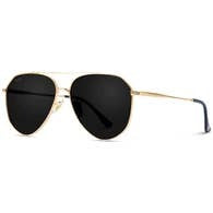 Ramsey Metal Frame Aviator Sunglasses in Gold Frame/Black Lens